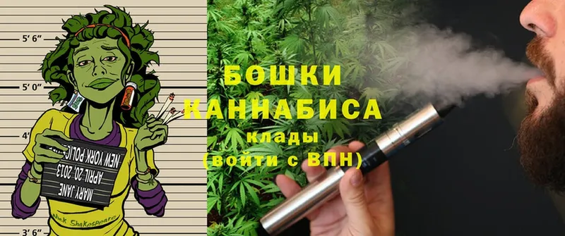 МЕГА вход  купить наркотик  Багратионовск  Бошки марихуана SATIVA & INDICA 